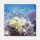 Pesquisar por belize imas Oceano