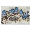 Pesquisar por pássaros vintage pôsteres Azul