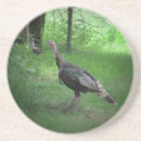 Pesquisar por acção de graças fotografia Fotografia da natureza