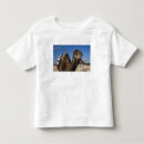 Pesquisar por mediterrânea camisetas Cor