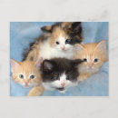 Pesquisar por cabelo preto cartoes postais Laranja