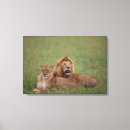 Pesquisar por leão impressão de canvas Quênia