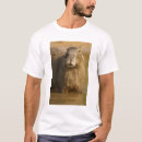 Pesquisar por pantanal camisetas América do sul