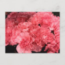 Pesquisar por selo postal floral Flores