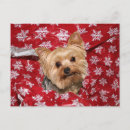 Pesquisar por natal yorkshire terrier cartoes postais Xmas