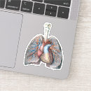 Pesquisar por coração humano adesivos Medicina
