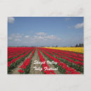 Pesquisar por festival da tulipa Skagit