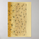 Pesquisar por nervo pósteres pôsteres Nervos