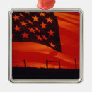 Pesquisar por composto ornamentos Fotografia