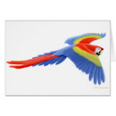 Pesquisar por voado cartoes postais Macaw