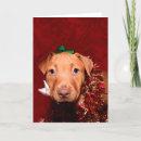 Pesquisar por cute puppy cartoes Pitbull