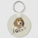 Pesquisar por beagle chaveiros Cão de caça