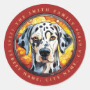 Pesquisar por dalmatian adesivos Cães