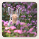 Pesquisar por orelha porta copos Animal