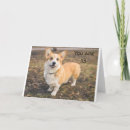 Pesquisar por cadela cartoes Fotografia