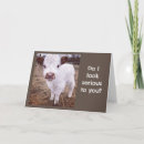 Pesquisar por bezerra cartoes Qualquer pessoa