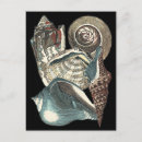 Pesquisar por seashells cartoes postais Conchas