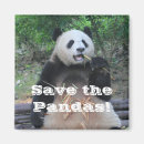 Pesquisar por bambu Vida selvagem