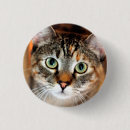 Pesquisar por gato do gatinho botons Amigo