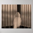 Pesquisar por gaiola pássaro pósteres pôsteres Qualquer pessoa