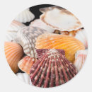 Pesquisar por close up adesivos Sorvido