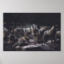 Pesquisar por lobo papel artes pôsteres Vintage
