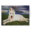 Pesquisar por placa do cão Branco