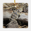 Pesquisar por lagartos ornamentos Animal