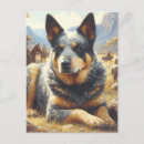 Pesquisar por australian cartoes postais Cachorro
