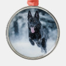 Pesquisar por lobo preto ornamentos Animal