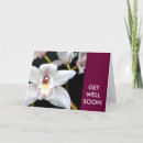 Pesquisar por orquídea branca cartoes Flores