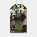 Pesquisar por panda etiquetas de presente Bambu