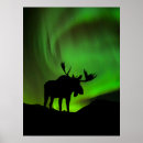 Pesquisar por alce pósteres pôsteres Alaska