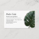 Pesquisar por plantas cartao de visita Flores