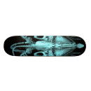 Pesquisar por anatomia skates Esqueleto