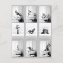 Pesquisar por macacos bonitos cartoes postais Animais