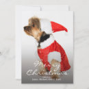 Pesquisar por imagem do terrier Canino