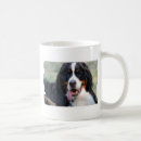 Pesquisar por bernese canecas Animais