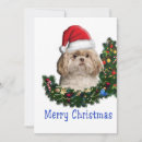 Pesquisar por shih tzu christmas cartoes postais Cães