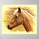 Pesquisar por éguas pôsteres Equídeo