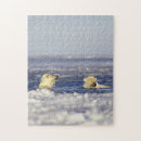 Pesquisar por aquecimento global quebra cabecas Neve