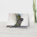Pesquisar por pretty bird cartoes Photography
