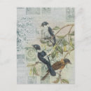 Pesquisar por vintage bird cartoes postais Pássaro