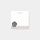 Pesquisar por bolas post its For kids