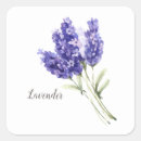 Pesquisar por flores lavanda adesivos Bonito