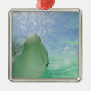 Pesquisar por garrafas ornamentos Animal