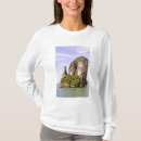 Pesquisar por nga nga camisetas Ao phang nga