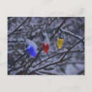 Pesquisar por reading cartoes postais Leitura