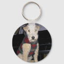 Pesquisar por maestros chaveiros Música