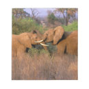 Pesquisar por áfrica bloco de notas Animal